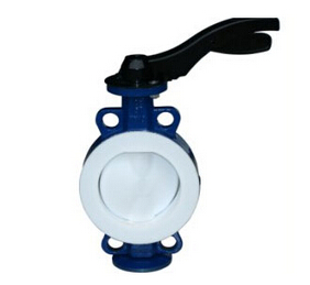 草莓视频APP官方下载